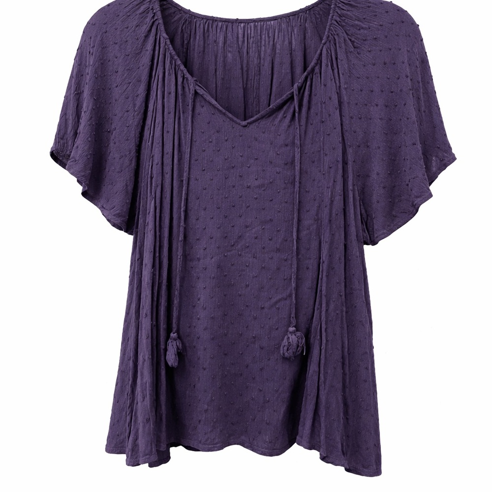 Lane Bryant Indigo Blouse